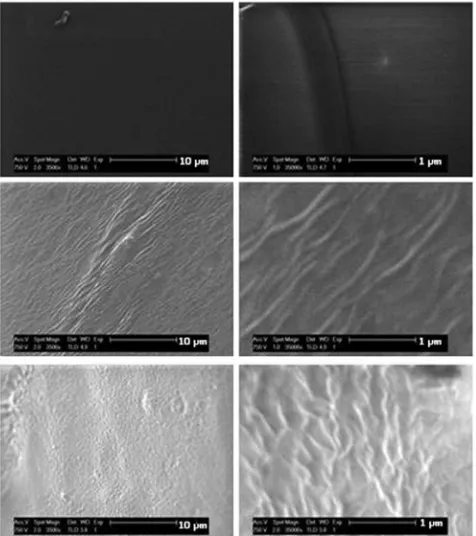 Fig. 4High resolution electron micrographs of polymer surfacesmagnification with 10at(top row), 10% HB-PNIPAM/X-PVP S-IPN (central row), 20% HB-PNIPAM/X-PVP S-IPN (bottom row)