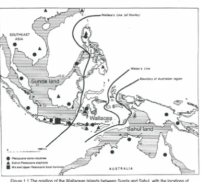 Figure 1.1 The position of the Wallacean islands between Sunda and Sahul, with the locations of Pleistocene lithic assemblages (after Glover 1986) 