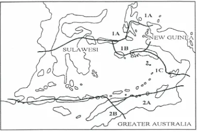 Figure 1. 2 The shortest routes across Wallacea during the Pleistocene, according to Birdsell (1977)