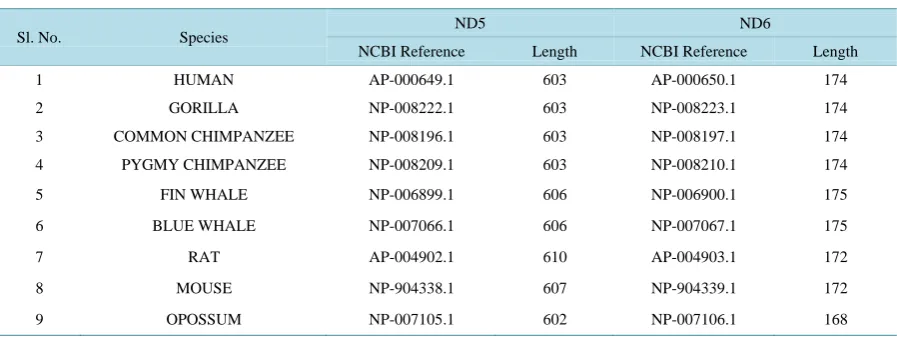Table 1. List of nine species with their versions and lengths.                                                         