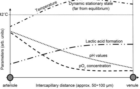 Figure 13. The initial slope is the “adiabatic” SAR. When the material is heterogeneous, the heat-diffusion starts and the li-near dependence bends