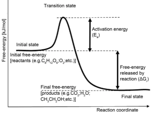 Figure 5. The reaction energy-schematics between “State 1” (initial) and “State 2” (final)