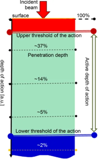 Figure 8. The desired action (distortion of malignant cells by any kind of cell killing) certainly differs from the penetration depths