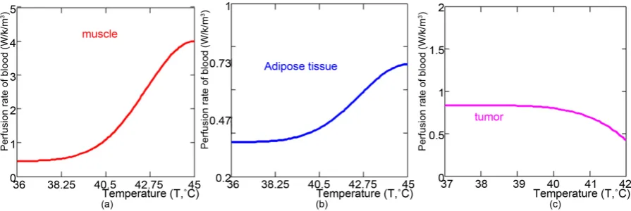 Figure 9. Quantitative changes of the blood-flow by temperature increase in (a) muscle; (b) adipose tissue; and (c) the tu-mour lesion