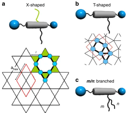 Figure 2 | Molecular structure of compounds m/n. All compounds havethe same number of carbon atoms in the branched lateral chain withm þ n ¼ 20; the data are collated in Table 1.