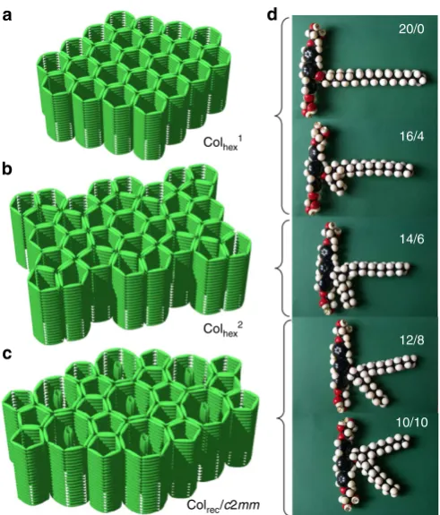 Figure 7 | Development of supramolecular organization depending onchain branching.cores of the molecules (green rods) in the three different LCsuperstructures (alkyl chains and glycerol groups are omitted);( (a–c) Models showing the organization of the aromaticd) molecular models of the corresponding compounds m/n.