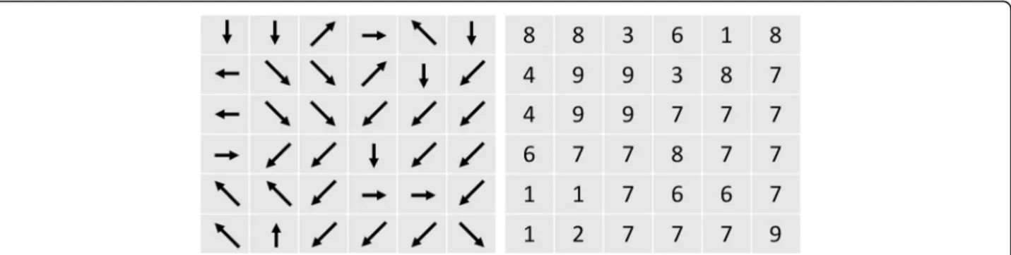 Fig. 5 Sample DEM data with flow directions and corresponding pixel ’s red channel value