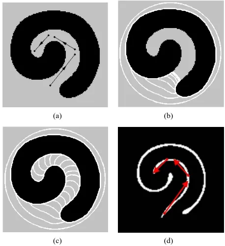 Figure 1. Demonstration of the usage and effectiveness of the G & DVF: (a) The image to be segmented; (b) Front propagation of the original GVF active contour; (c) Front propagation of the G & DVF active contour; (d) The ex- tracted centerlines and the pro