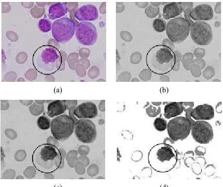 Figure 2. H, L histogram of a primal image: (a) Primal im-age; (b) Hue component; (c) Lightness component