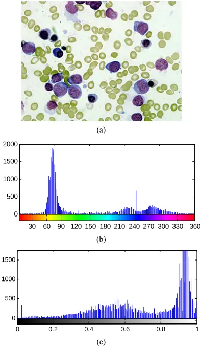 Figure 4. H, L histogram of a normalized image: (a) Nor- malized image; (b) Hue component after discarding the background pixels; (c) Lightness component