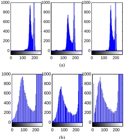 Figure 5. Contrast between a primal image and the image by CCIN: (a) A primal image; (b) A linear map; (c) The image by CCIN