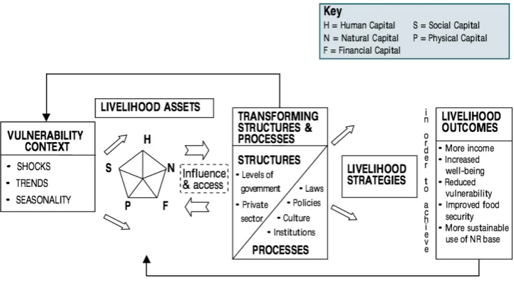 Figure 3-2: The process of empowerment (Alsop and Heinsohn 2005, p.6) 