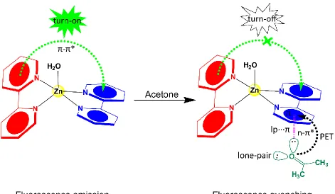 Fig. 10. Schematic representation of the mechanism of the fluorescence quenching.  