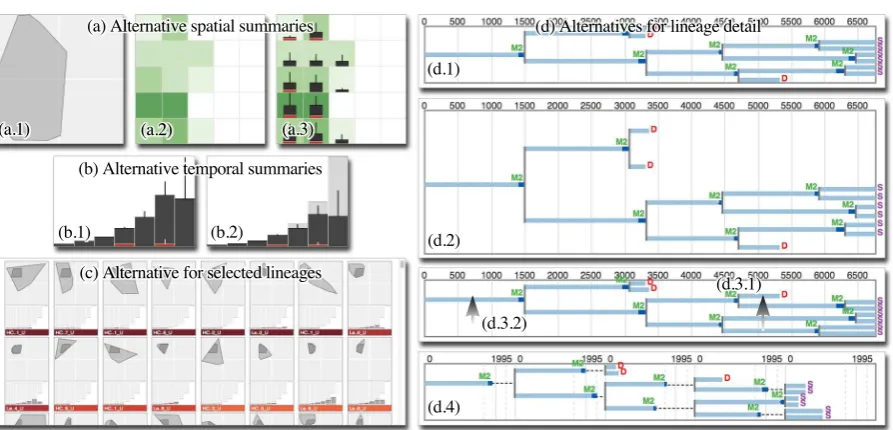 Figure 3: (a) Design alternatives for spatial summaries of grouped lineages. (a.1) The smallest convex polygon containingall key events gives no indication of different levels of activity
