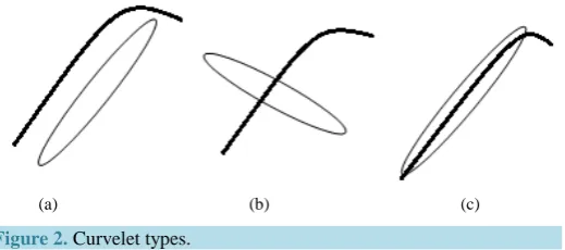 Figure 2. Curvelet types.                                                                     