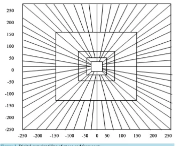 Figure 3. Digital curvelet tiling of space and frequency.                                   
