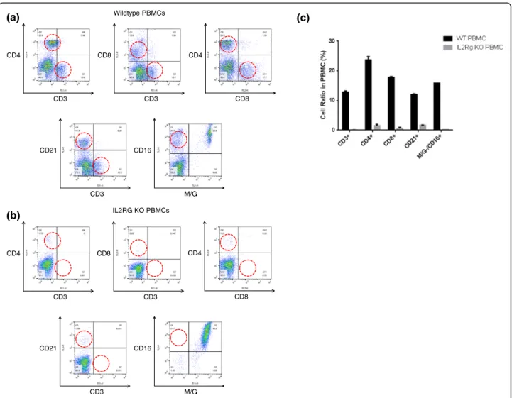 Fig. 3 Flowcytometric analysis of IL2RG knockout pigs. a Flowcytometric analysis of T, B and NK cells in the peripheral blood mononuclear cells and splenocytes of wild-type piglets