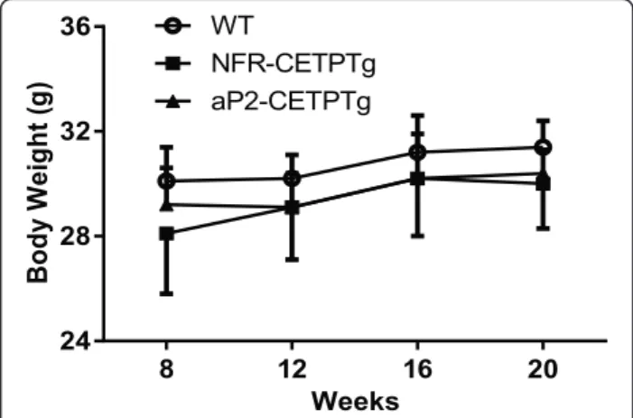 Fig. 1 Body weight of NFR-CETPTg, aP2-CETPTg and WT mice. Body weight records at 8, 12, 16 and 20 week-old mice