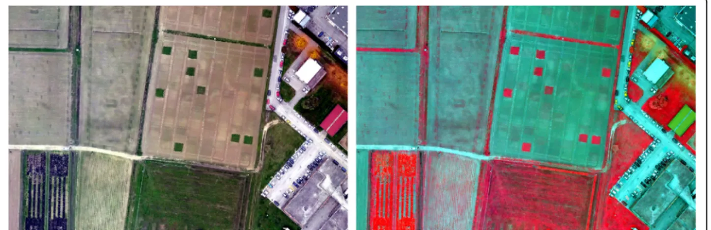 Fig. 1 Clipped testing area: true colour image (left), false colour infrared image (right)