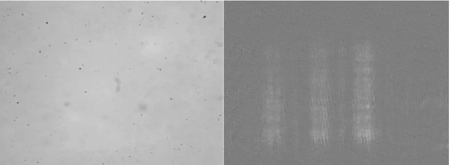 Figure 4 - Frame differentiation method: unprocessed image (left), and processed image (right) 