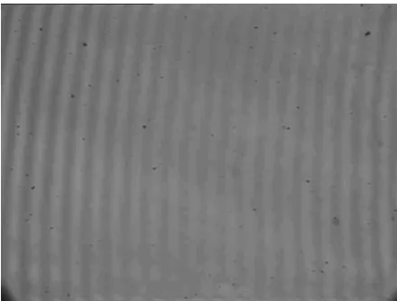 Figure 8 - Line fringes obtained from the tungsten halogen bulb through the 632.8 nm interference filter, in the region of minimum visibility 