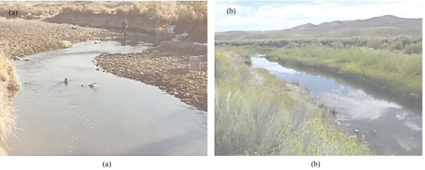 Figure 11. (a) Maggie Creek with season-long cattle grazing in November, 1980. (b), Maggie Creek in 2011 with shortened season of use differing among years since 1994