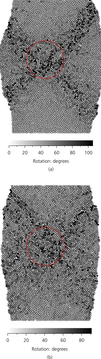 Fig. 5. Particle arrangement and accumulated rotation at 15%axial strain: (a) dense sample; (b) loose sample
