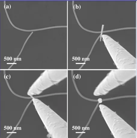 Fig. 5. Nanowelding two 110 nm TiO2sacrificial 1D nanosolder in contact with the nanostructure to the nanowires together by a rectangular voltage pulse through the solder nanowire, causing significant material diffusion onto be welded; (c) Preweld softenin