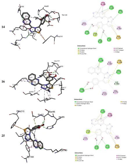 Figure 1: 3D (right) and 2D (left) closest interactions between active site residues of 