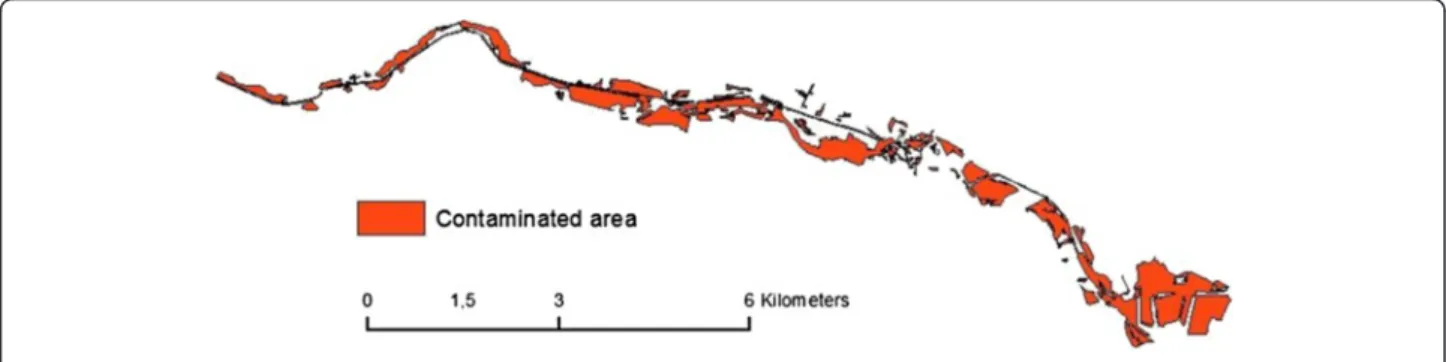 Fig. 1 Overview of the source dataset “contaminated_area”