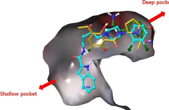 Figure 1: Superimposed 3PBL protein-ligand docking of dopamine (green; endogenous D3R  agonist), eticlopride (yellow; non-selective D3R antagonist), and R-22 (sky blue; selective D3R antagonist)
