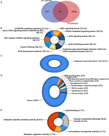 Figure 6. Exploration results for the underlying mechanisms of miR-191-5p in HCC. A. Venn diagram of the crucial genes involved in the bioinformatics analysis