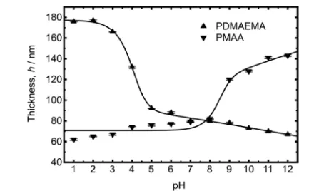 Figure 1. Ellipsometric characterization of the thickness of PDMAEMAand PMAA brushes grafted from planar silicon surfaces