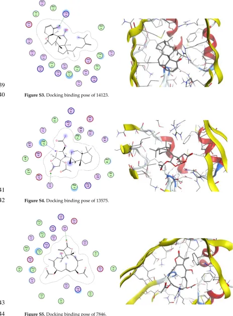 Figure S3. Docking binding pose of 14123. 