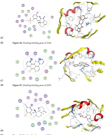 Figure S6. Docking binding pose of 3164. 