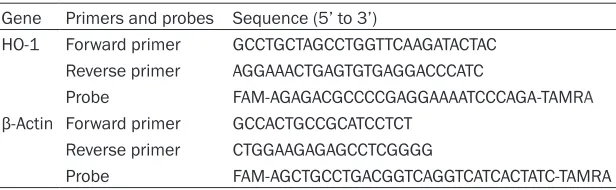 Table 1. Primers and probes for rat HO-1 and β-actin