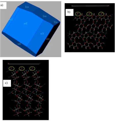 Figure 4. Predicted morphology and surface chemistry of LMH. (a) Crystal morphology as predicted by Habit