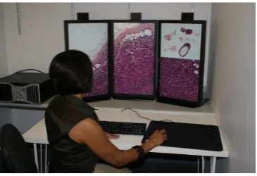 Figure 1: Three-screen display consisting of three 27 inch screens.  