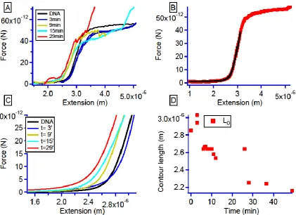 Figure 4. A. DNA-platinum complex force-extension curves evolution at different incubation time