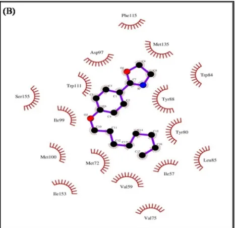 Figure 8. The interactions between oxazoline 16 and CviR (A) in a 2D schematic diagram and (B) in 3D