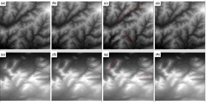 Figure 7. The fused DEMs obtained using the Bior3.7 wavelet, Haar wavelet, BEMD and N-AMD methods at (a)-(d) site A, and (e)-(h) site B