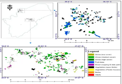 Figure 4.4  Map of irrigation in Azraq Basin from remote sensing data 20149 