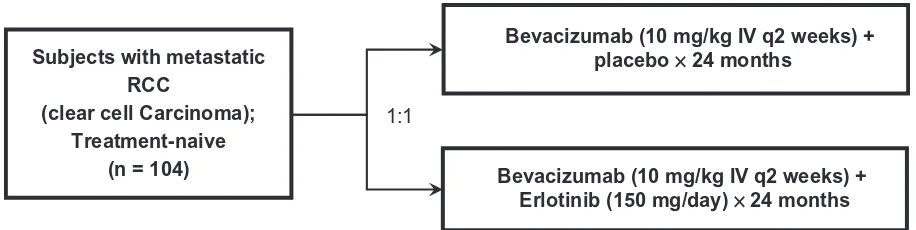 Figure 3 Study schema for phase 2 randomized trial of bevacizumab plus placebo versus bevacizumab plus erlotinib in patients with treatment-naïve metastatic renal cell carcinoima.Drawn from data of Bukowski et al.41