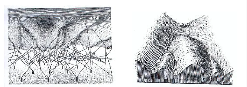 Figure 2: The epigenetic landscape seen from two different points of view, below and above respectively 