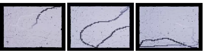 Figure 9: Agents’ traces.  