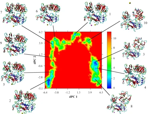 Figure 3.  Free energy landscape (kJ mol-1) as a function of dPC1 and dPC2; the lowest energy conformations of each family as identified by k-means clustering are shown