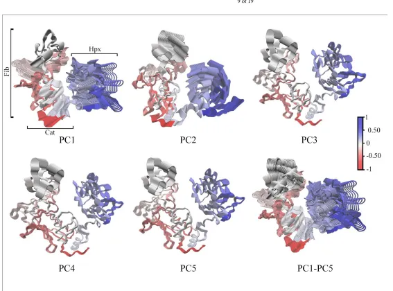 Figure 6.  Cα-trace of PC1 through PC5 and an overlay of all principle components PC1-PC5