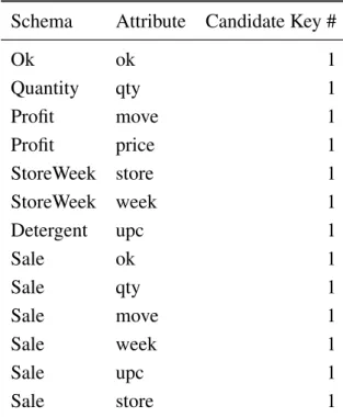 Table 3.1: Table representing the candidate keys for the detergents example.