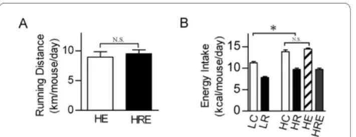 Figure 1 Interventions in mice. 8 week-old male C57BL/6N mice 