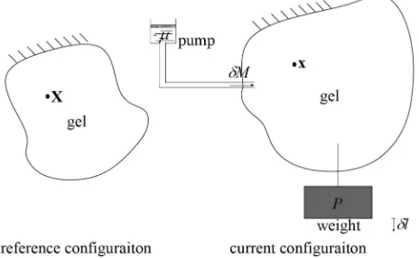 FIG. 2. The reference and current conﬁgurations with an illustration of twoways doing work on a gel in the current conﬁguration: a mechanical loadingis applied by hanging a weight and a chemical loading is applied by using apump to inject small molecules into the gel.